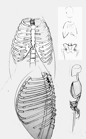 Brustkorb Anatomie Aktzeichnungen - Anatomie Studien, Vorlagen für die Aktmalerei