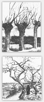 Bäume, Zeichnungen  von Vincent van Gogh