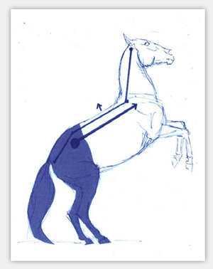 Pferdezeichnung  Fixierung von Renate Blank