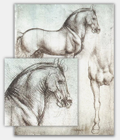  Pferdestudie von  Leonardo da Vinci, Franz Marc, Eadweard Muybridge und Edgar Degas