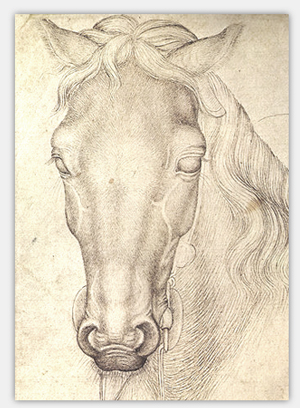 Pferdekopf von Pisanello