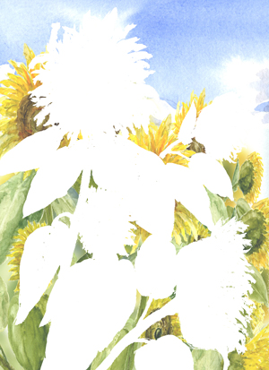 Hintergrund durch Vervielfältigung der Sonnenblumen und mit blauem Himmel