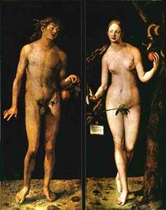 Albrecht Dürer Tempera/Öl