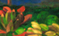 Gauguin Stillleben in Öl 