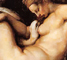 Rubens, Leda und Zeus, Vorlage für Aktbilder anderer Künstler